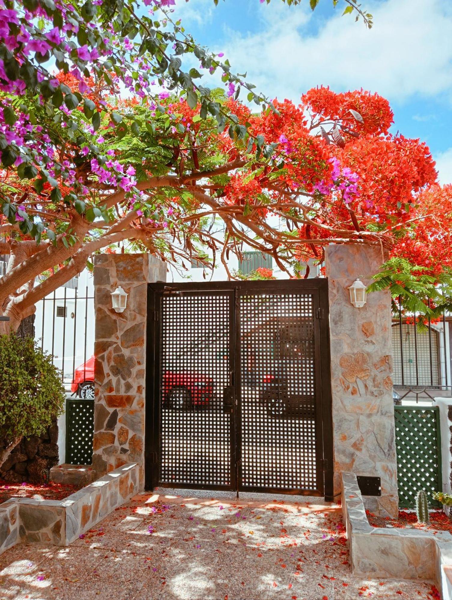 פוארטו דל כרמן Apartamentos Las Acacias מראה חיצוני תמונה